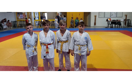 Tournoi de l'amitié à La fare pour nos poussins